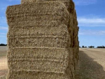 Wheat Straw Tailings 8x4x3