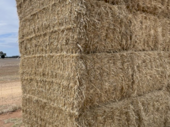 Wheat Straw Tailings 8x4x3