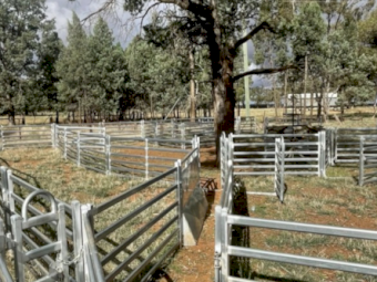 1200 head Sheep Yards