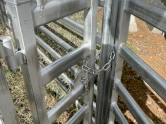 1200 head Sheep Yards