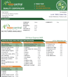 60mt Oaten Hay 650kg 8x4x3 Bales
