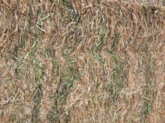 45mt Vetch Hay 600kg 8x4x3 Bales