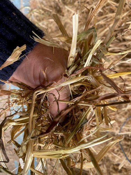 200mt Oaten Hay 8x4x3 Bales