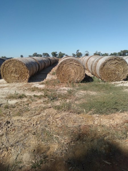 100 x Oaten Hay 450kg 5x4 Round Bales