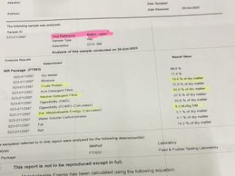 80mt Vetch Hay 8x4x3 Bales