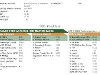Southern Rye and Clover Hay