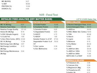 Oaten Rye Hay 8x4x3 Bales