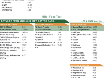 23/24 Vetch Hay with some Ryegrass