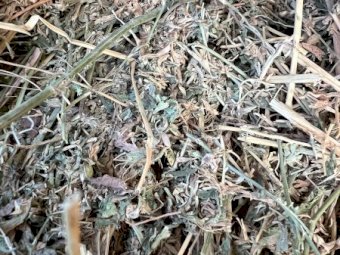 2nd & 3rd Cut Lucerne Hay