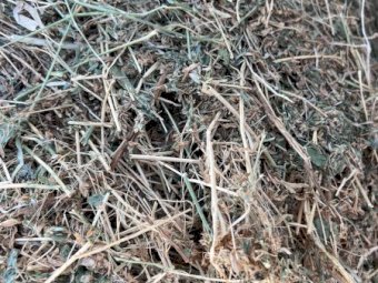2nd & 3rd Cut Lucerne Hay