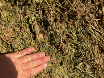 150 x Lucerne Hay 450-475kg 5x4 Rolls