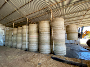 120 x Oaten Hay 450kg+ 5x4 Rolls