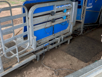 Tepari HD3 Sheep Handler