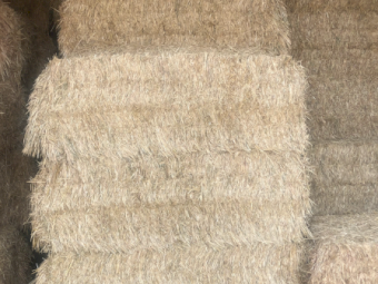 80mt Barley Hay 660kg 8x4x3 Bales