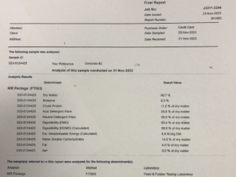80mt Barley Hay 660kg 8x4x3 Bales
