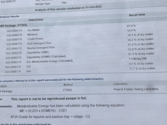 132mt Vetch Hay 500kg 8x4x3 Bales