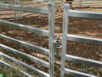 Tophill Semi Permanent Sheep Yards
