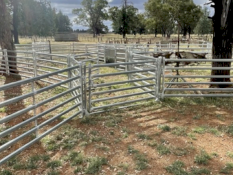 Tophill Semi Permanent Sheep Yards