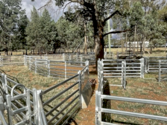 Tophill Semi Permanent Sheep Yards