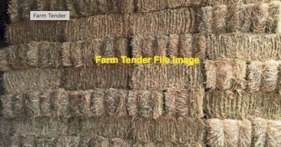 3000 X Lucerne Hay Small Bales