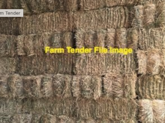 3000 X Lucerne Hay Small Bales