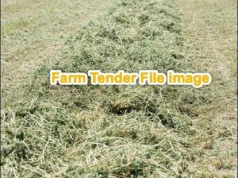 160 Rolls  A grade Pasture Hay