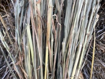 110mt Oaten Hay 630kg 8x4x3 Bales