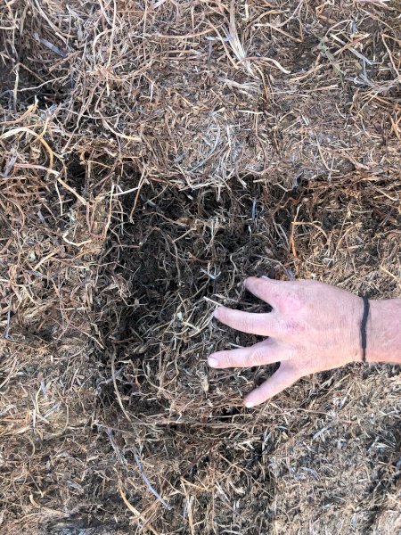 125mt Vetch Hay 635kg 8x4x3 Bales