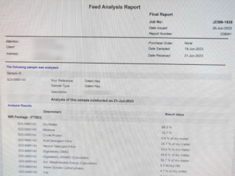 300mt Oaten Hay 600kg 8x4x3 Bales
