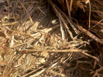 300mt Oaten Hay 600kg 8x4x3 Bales