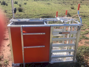 Gallagher Three Way Sheep Drafter