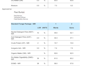 200mt Lucerne Hay 650-700kg 8x4x3 Bales