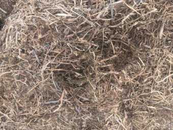 300mt Vetch Hay 600kg 8x4x3 Bales