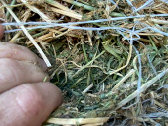 60 x Lucerne Pasture Hay 4x4 Round Bales