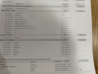 290mt Vetch Hay 580kg 8x4x3 Bales