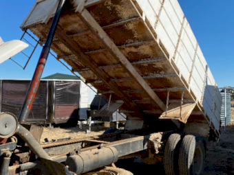 1980 International ACCO 1810B Tipper Truck