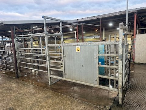 Dairymaster Draft Gate