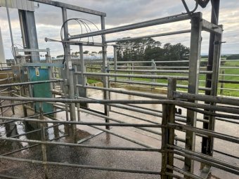 Dairymaster Draft Gate