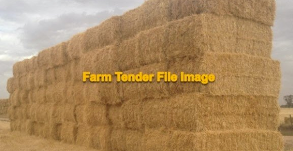 2023/24 Barley straw 8x3x4