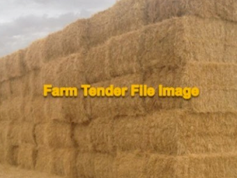 2023/24 Barley straw 8x3x4