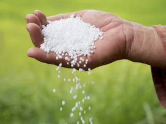 Urea Ex Brisbane - **Available Now**
