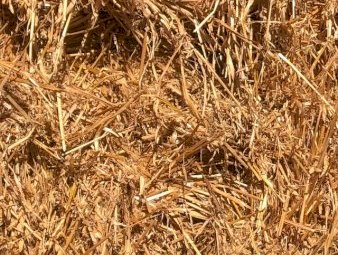 70mt Barley Straw 450-500kg 8x4x3 Bales