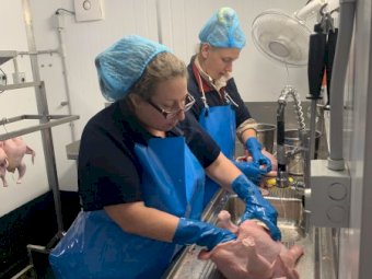 300 Chicken/ Day Moveable  Abattoir