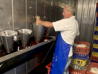 300 Chicken/ Day Moveable  Abattoir