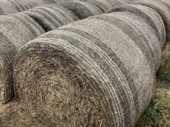 150 Rolls of 22/23 Vetch Hay