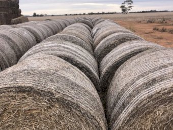 150 Rolls of 22/23 Vetch Hay