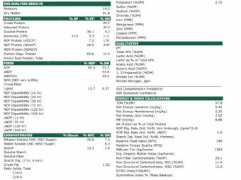150 Rolls of 22/23 Vetch Hay