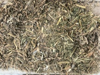 100mt Vetch Hay 500kg 8x4x3 Bales