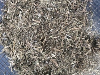 150mt Vetch Hay 500kg 8x4x3 Bales