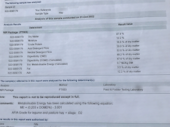 150mt Vetch Hay 500kg 8x4x3 Bales